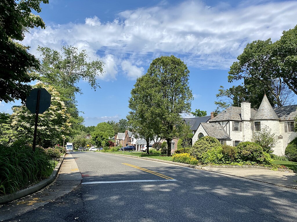 Photo of a Neighborhood in Manhasset